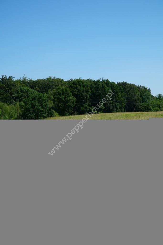 Działka na sprzedaż, Gdańsk, Lipce, Jagatowska - zdjęcie ofertowe nr 3