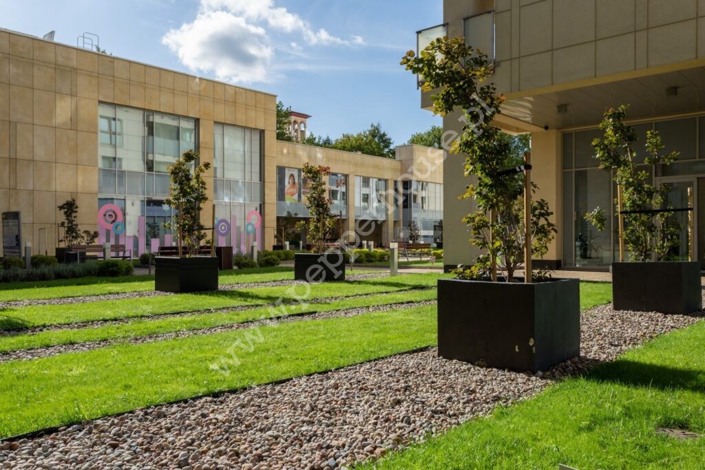 , Gdańsk, Wrzeszcz, Partyzantów - listing photo no. 9