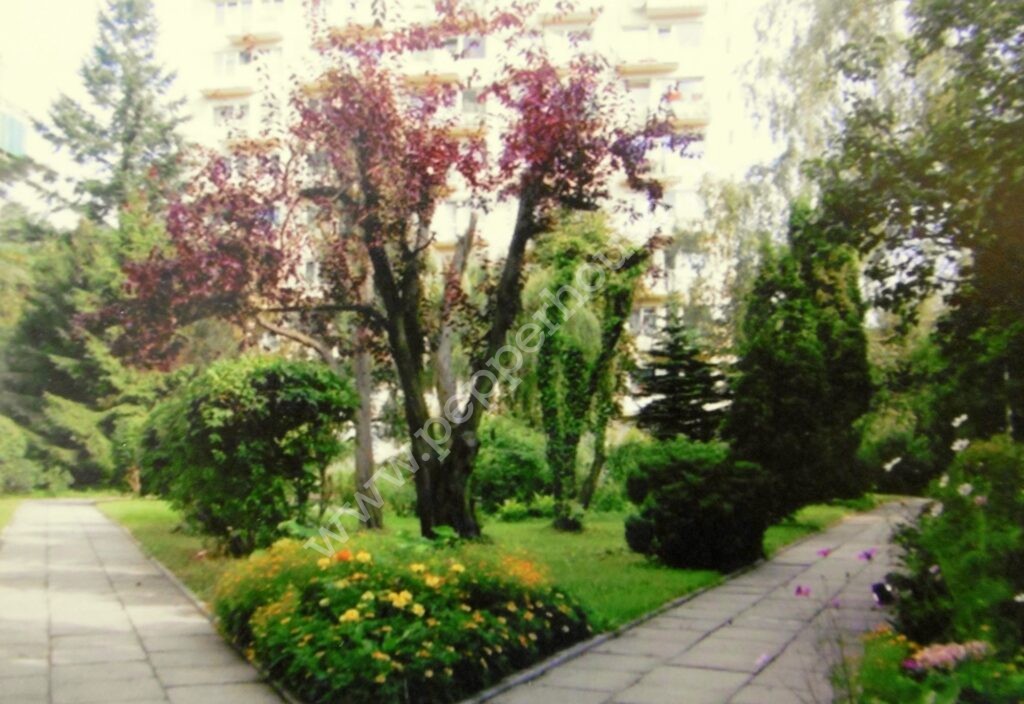, Sopot, Górny, Adama Mickiewicza - listing photo no. 14