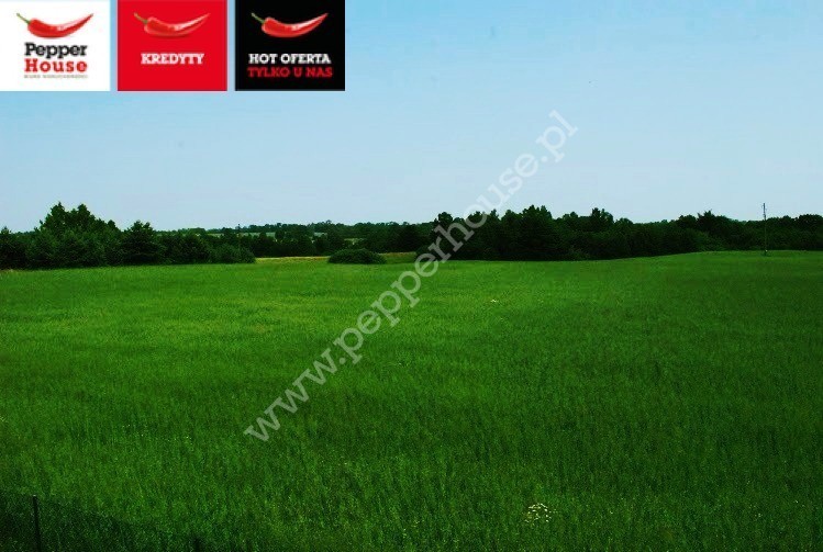 Dom na sprzedaż, pomorskie, Chrztowo - zdjęcie ofertowe nr 12