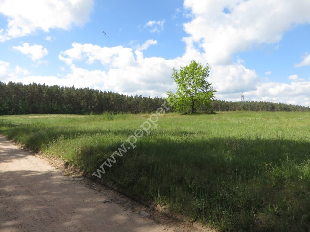 , pomorskie, Tyłowo, Wejherowska - listing photo no. 5
