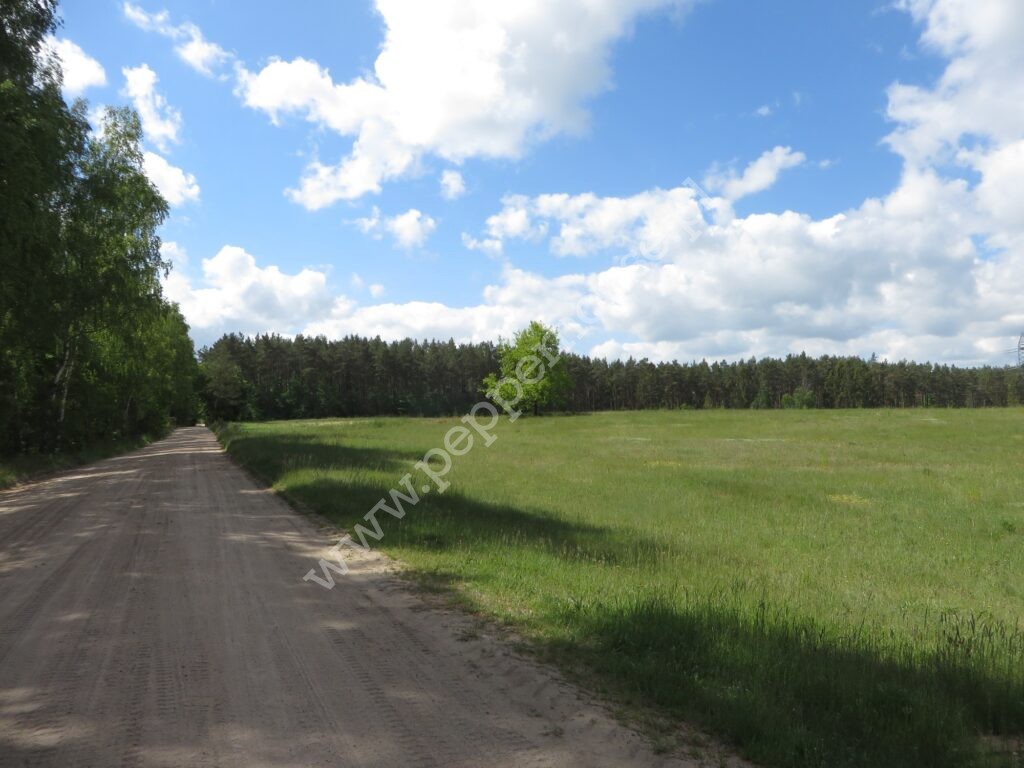 , pomorskie, Tyłowo, Wejherowska - listing photo no. 6