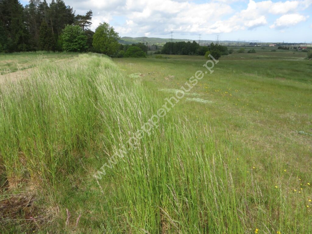 , pomorskie, Tyłowo, Wejherowska - listing photo no. 1