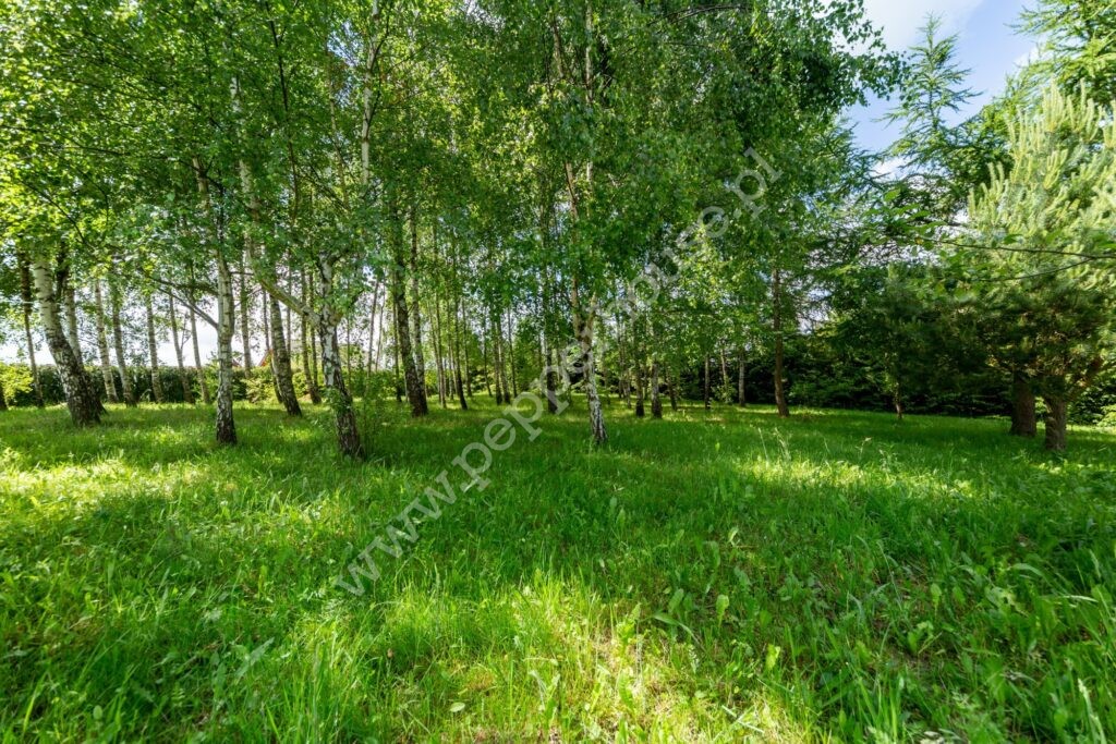 , pomorskie, Perlino, Potokowa - listing photo no. 32