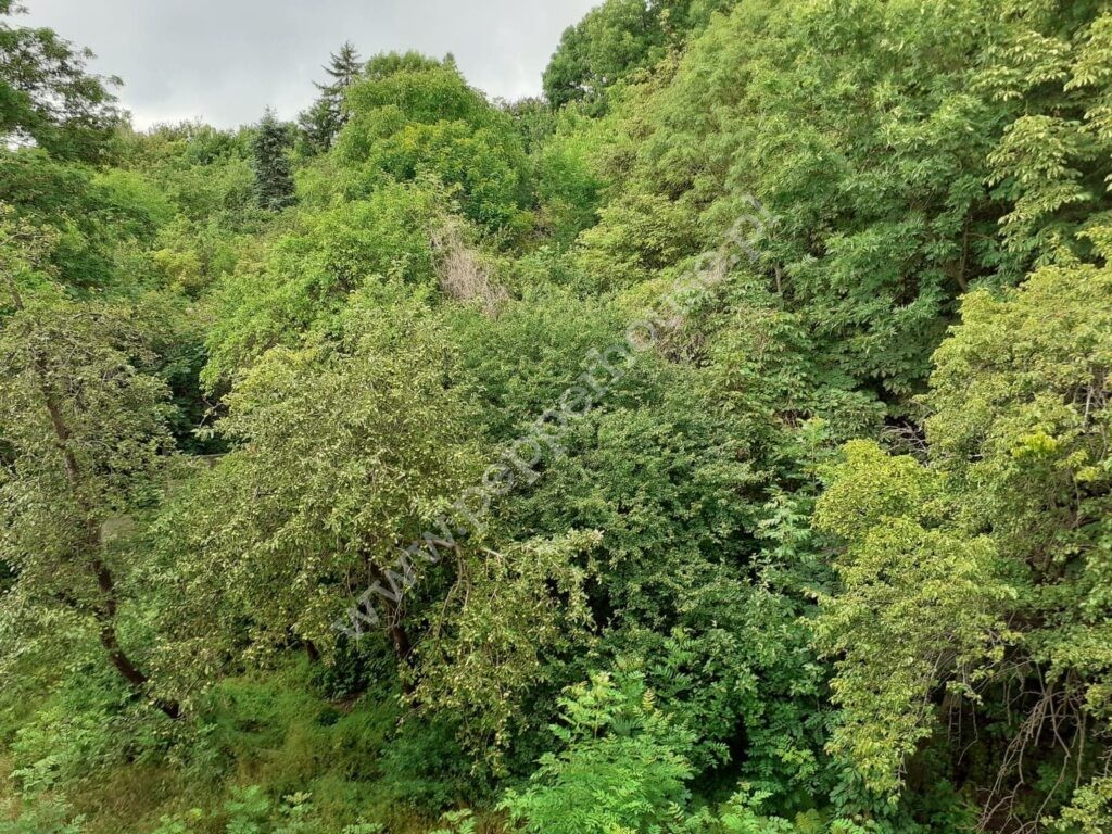 Mieszkanie na sprzedaż, Gdańsk, Siedlce, Zakopiańska - zdjęcie ofertowe nr 7