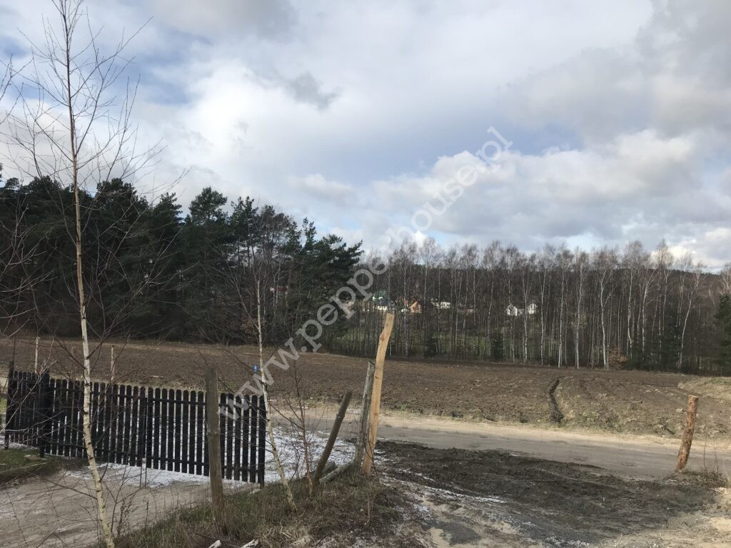 , pomorskie, Rębiechowo, Wspólna - listing photo no. 12