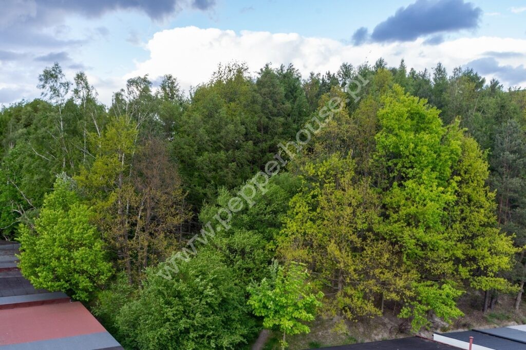 Mieszkanie na sprzedaż, Gdynia, Obłuże, Stolarska - zdjęcie ofertowe nr 1