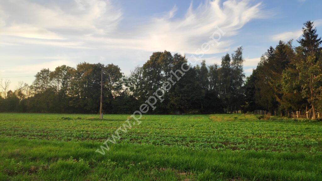 , pomorskie, Cedry Małe, Długa - listing photo no. 1