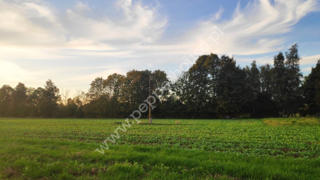 , pomorskie, Cedry Małe, Długa - listing photo no. 4