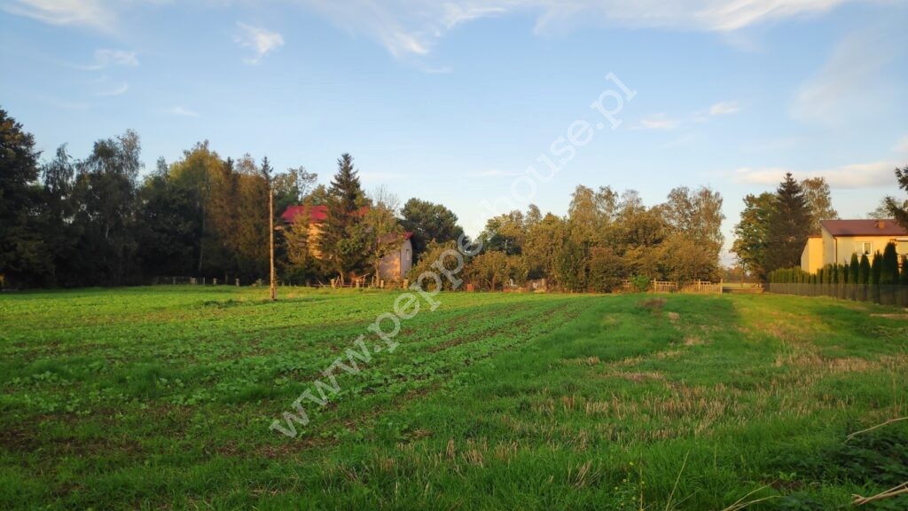 , pomorskie, Cedry Małe, Długa - listing photo no. 5