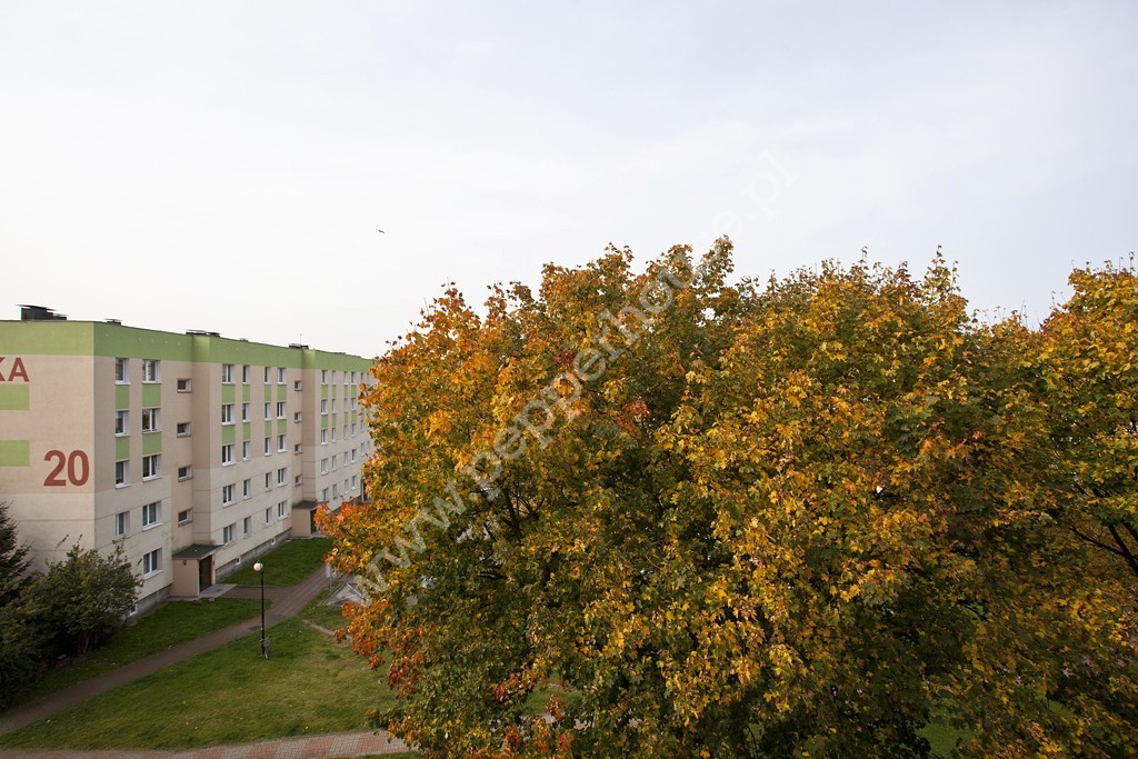 Mieszkanie na sprzedaż, pomorskie, Rumia, Gdańska - zdjęcie ofertowe nr 12