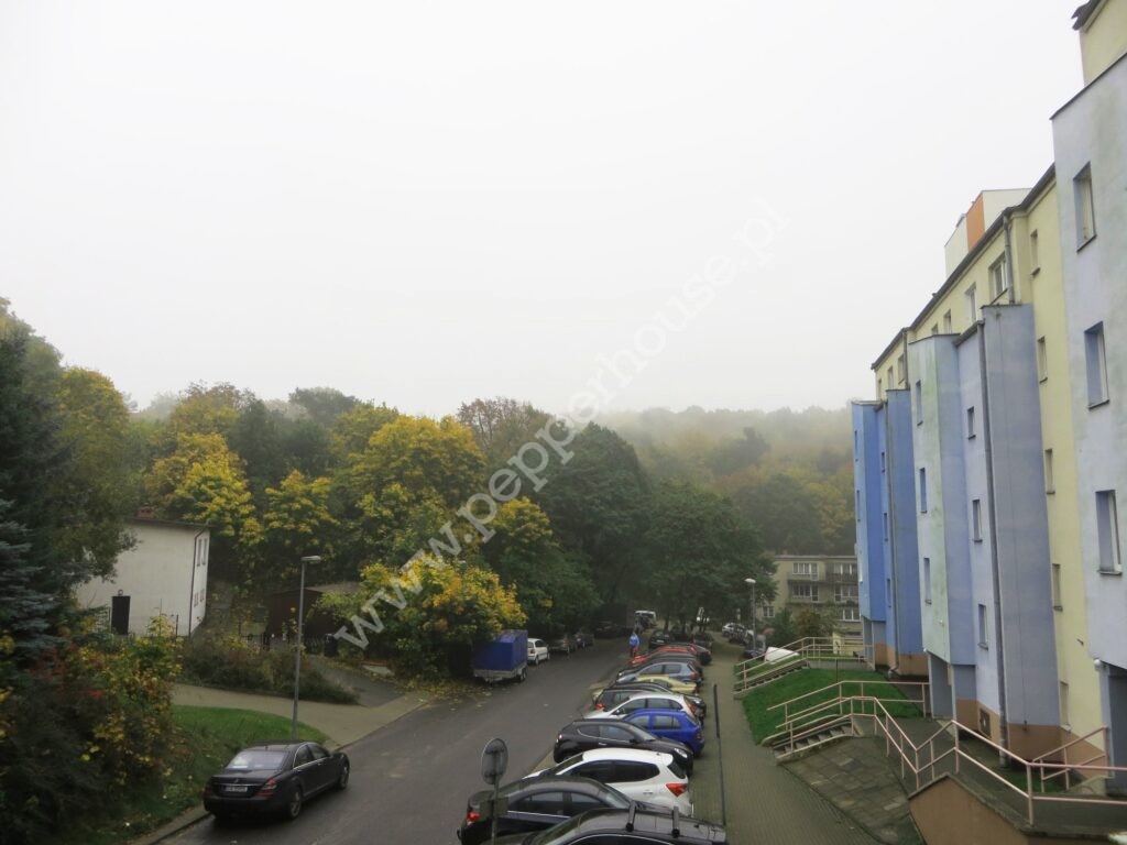 , Gdynia, Pogórze, Żeliwna - listing photo no. 14