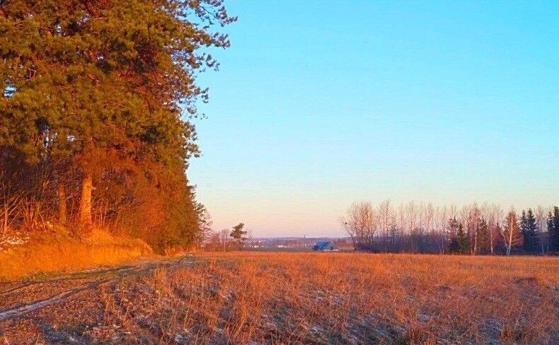 Działka na sprzedaż, Gdańsk, Kokoszki, Grzybowa