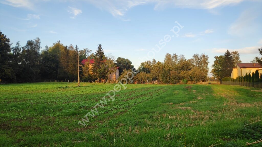 , pomorskie, Cedry Małe, Długa - listing photo no. 2