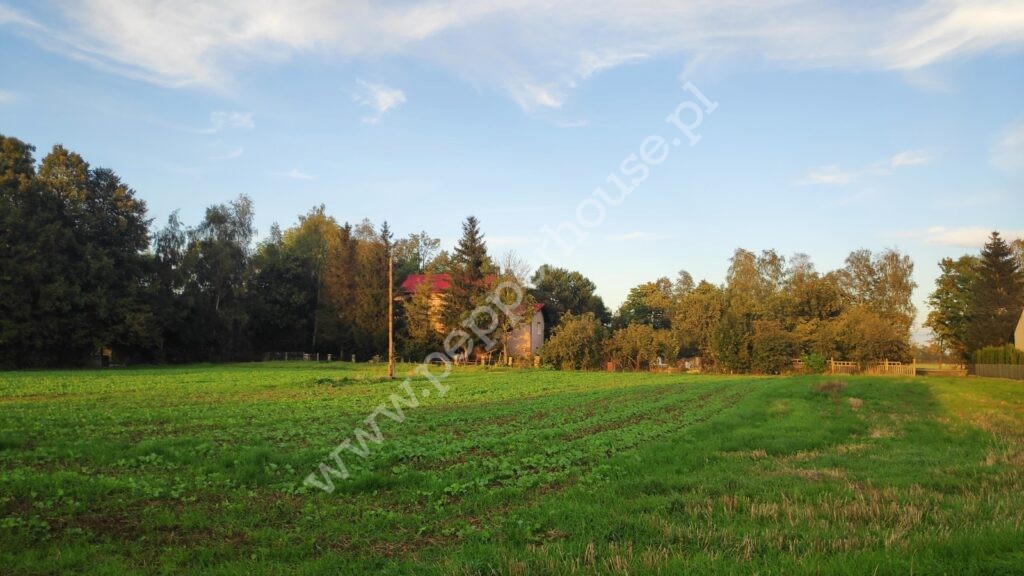 , pomorskie, Cedry Małe, Długa - listing photo no. 6