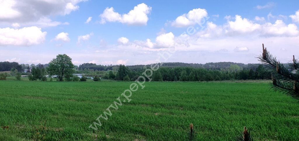 , pomorskie, Bojano, Żeliwna - listing photo no. 5