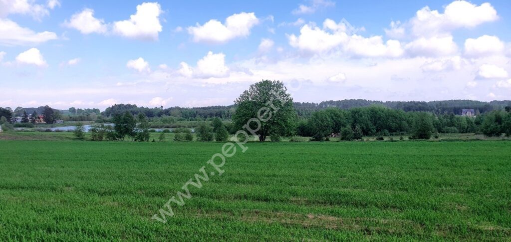 , pomorskie, Bojano, Żeliwna - listing photo no. 2