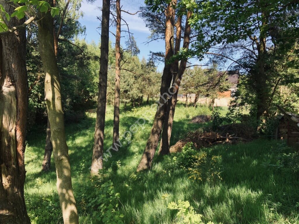 Działka na sprzedaż, pomorskie, Zbychowo, Okrężna - zdjęcie ofertowe nr 3
