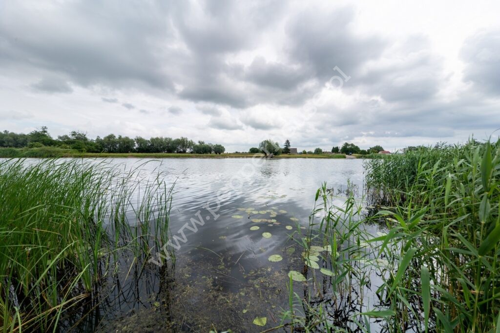 , pomorskie, Kępiny Małe - listing photo no. 22