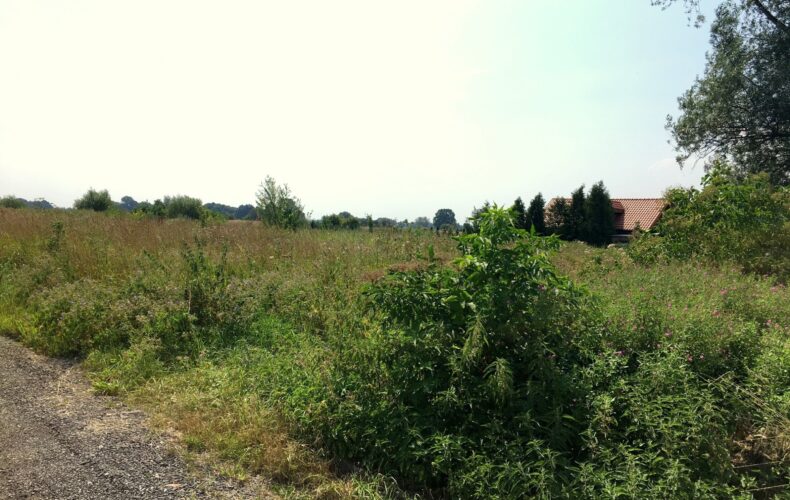 Działka na sprzedaż, pomorskie, Suchy Dąb, Polna