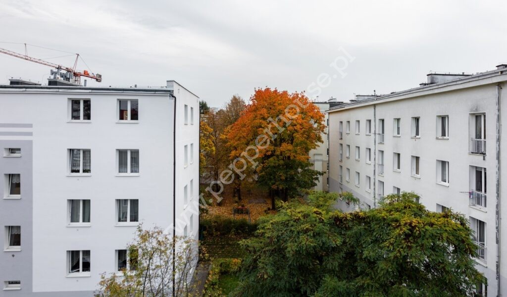 , Gdynia, Wzgórze Św. Maksymiliana, bp. Dominika - listing photo no. 10