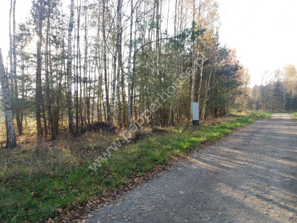 , pomorskie, Łężyce, Jodłowa - listing photo no. 3