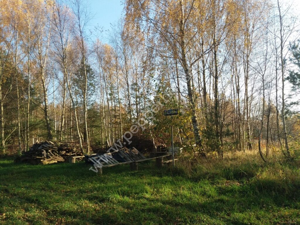 , pomorskie, Łężyce, Jodłowa - listing photo no. 1