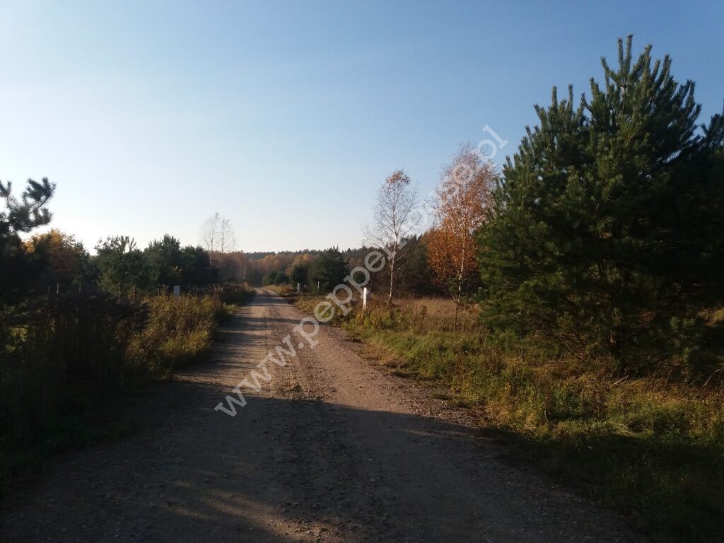 , pomorskie, Łężyce, Jodłowa - listing photo no. 4