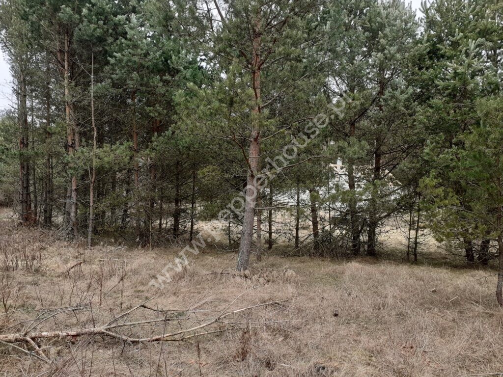 Działka na sprzedaż, pomorskie, Domatówko - zdjęcie ofertowe nr 3