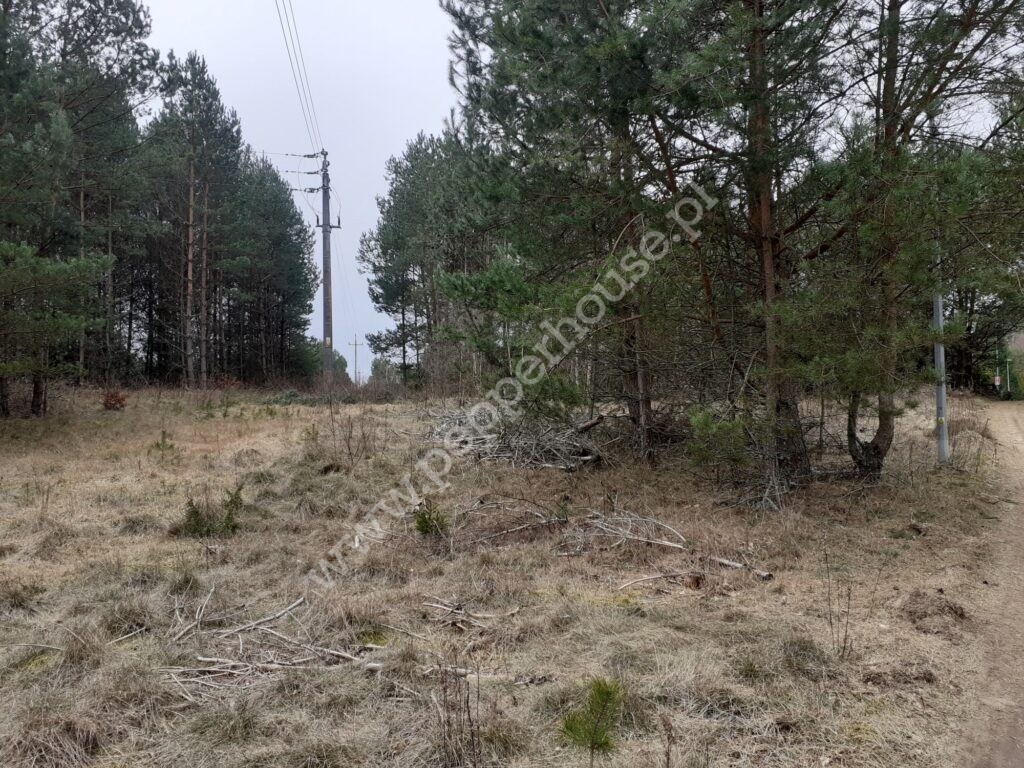 Działka na sprzedaż, pomorskie, Domatówko - zdjęcie ofertowe nr 6