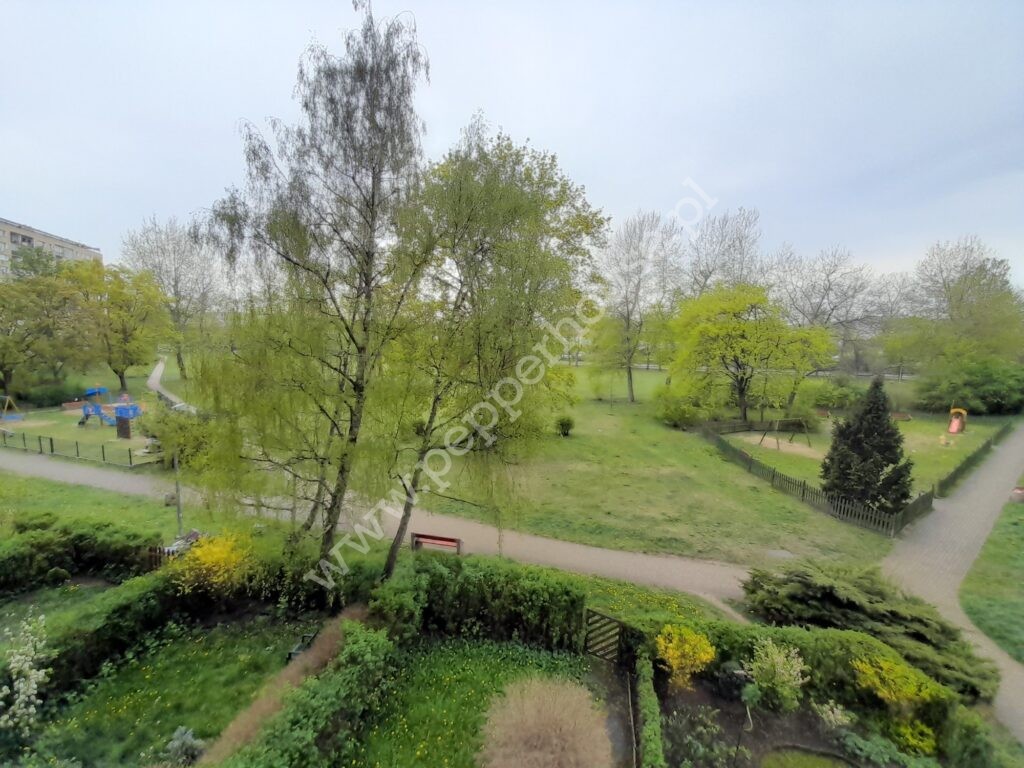, Gdańsk, Zaspa, Pilotów - listing photo no. 7