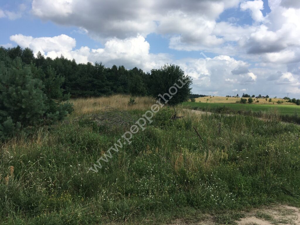 Działka na sprzedaż, pomorskie, Obozin - zdjęcie ofertowe nr 2
