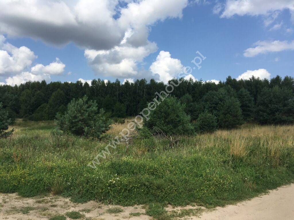 Działka na sprzedaż, pomorskie, Obozin - zdjęcie ofertowe nr 3