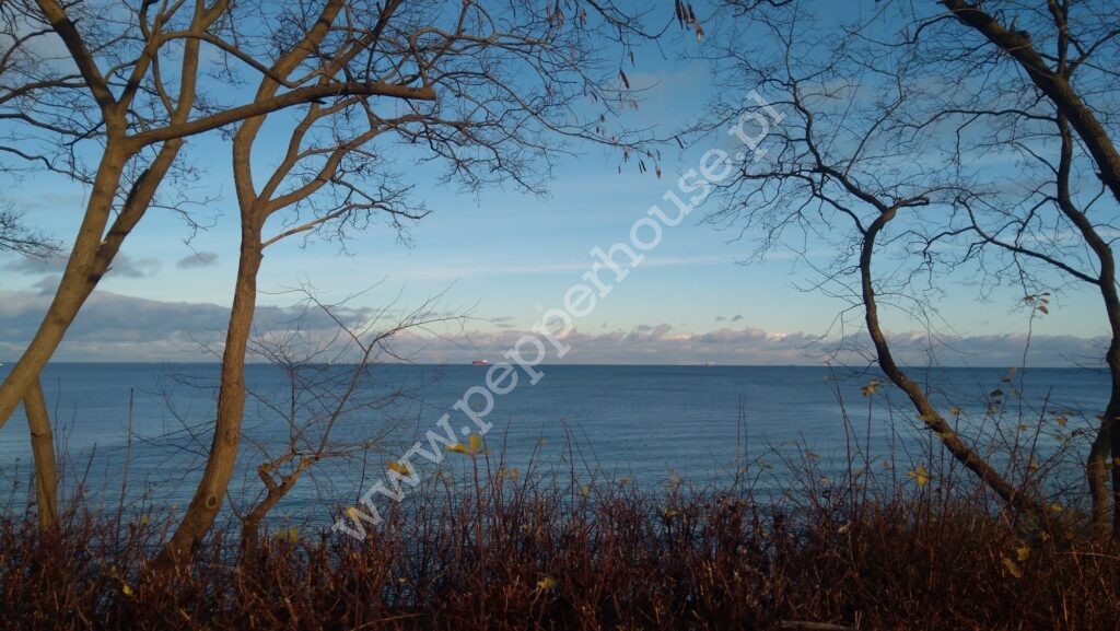 , pomorskie, Kosakowo, Astrowa - listing photo no. 4