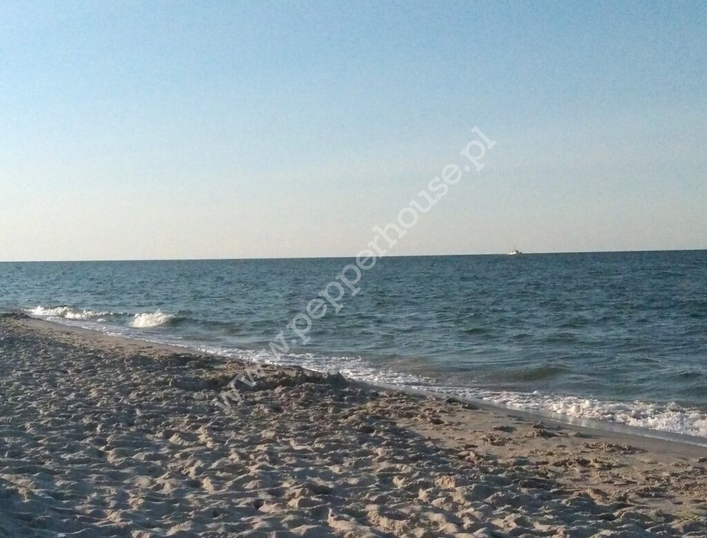 , pomorskie, Kosakowo, Astrowa - listing photo no. 6