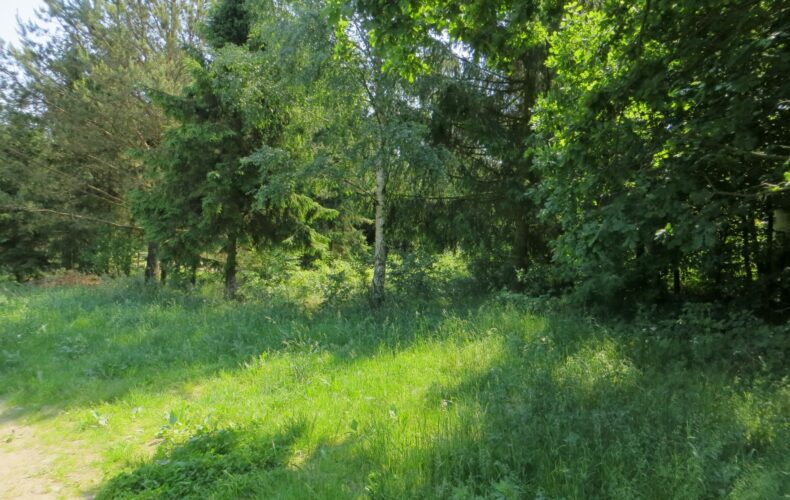Działka na sprzedaż, pomorskie, Tuchom, Bolesława Prusa