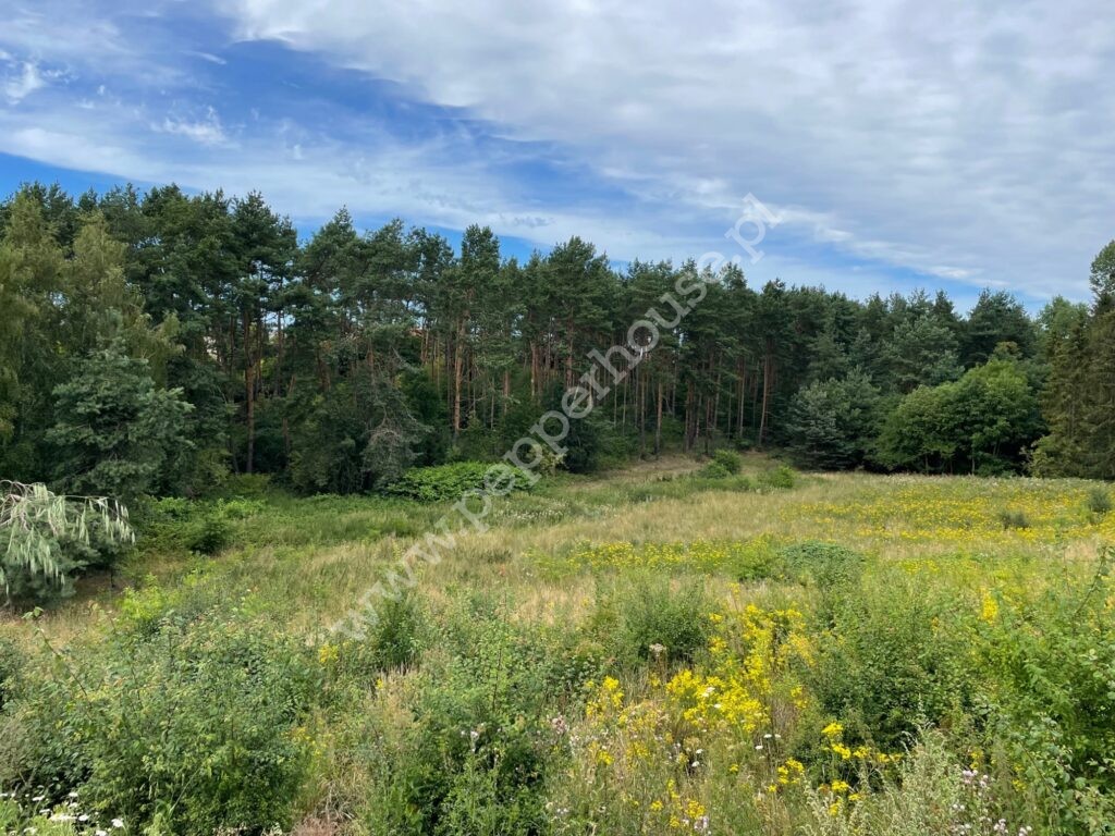 , pomorskie, Pierwoszyno - listing photo no. 2