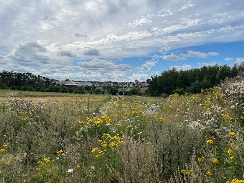 , pomorskie, Pierwoszyno - listing photo no. 3