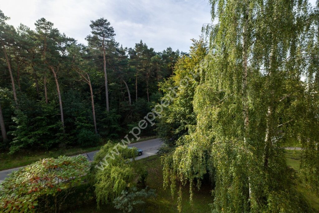 Mieszkanie na sprzedaż, Gdynia, Pustki Cisowskie-Demptowo, Borowikowa - zdjęcie ofertowe nr 18