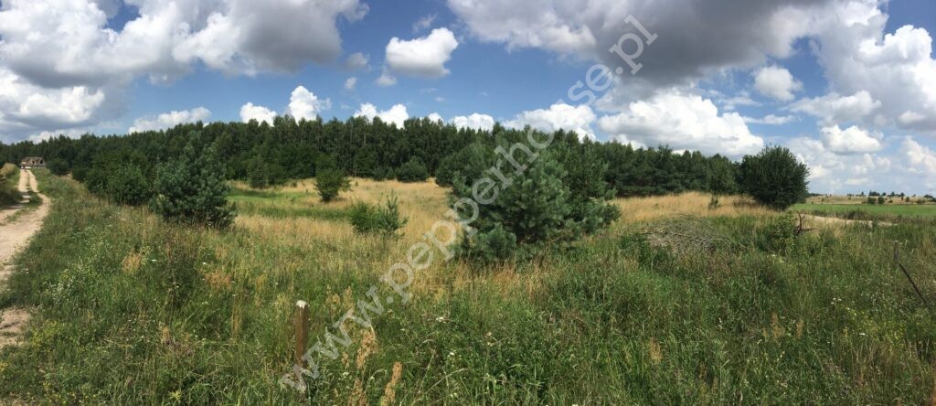 Działka na sprzedaż, pomorskie, Obozin - zdjęcie ofertowe nr 1