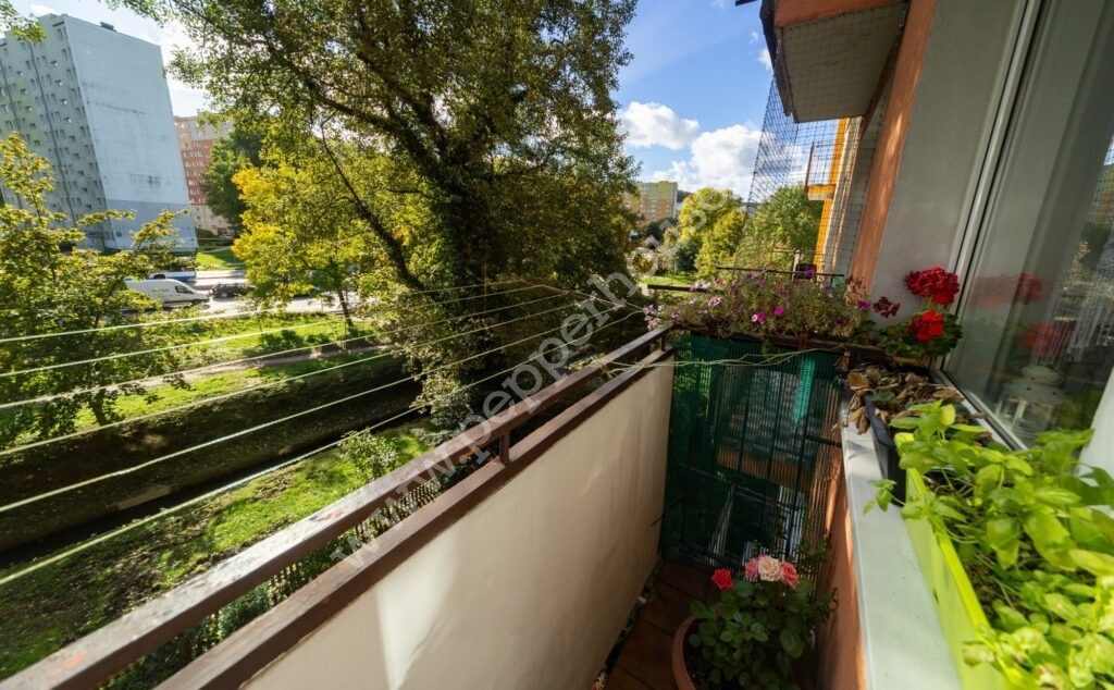 , Gdynia, Cisowa, Kcyńska - listing photo no. 11