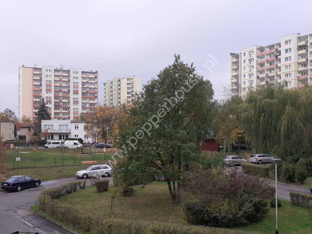 , kujawsko-pomorskie, Bydgoszcz, Wzgórze Wolności - listing photo no. 9