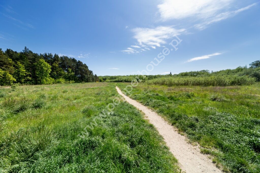 , pomorskie, Wejherowo, Franciszka Fenikowskiego - listing photo no. 13