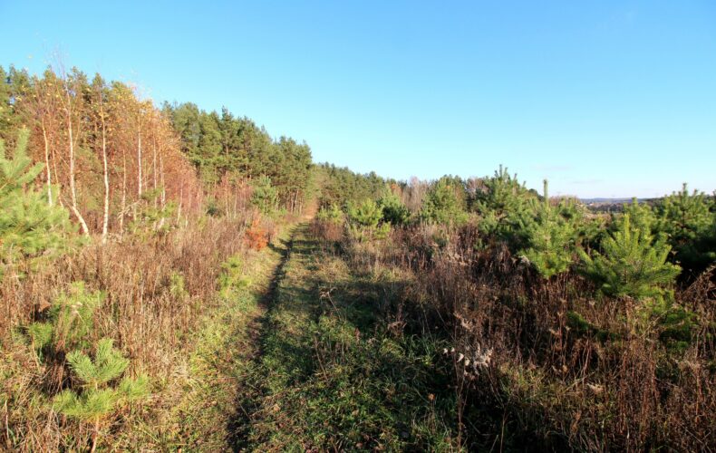 Działka na sprzedaż, pomorskie, Niestępowo, Kasztanowa