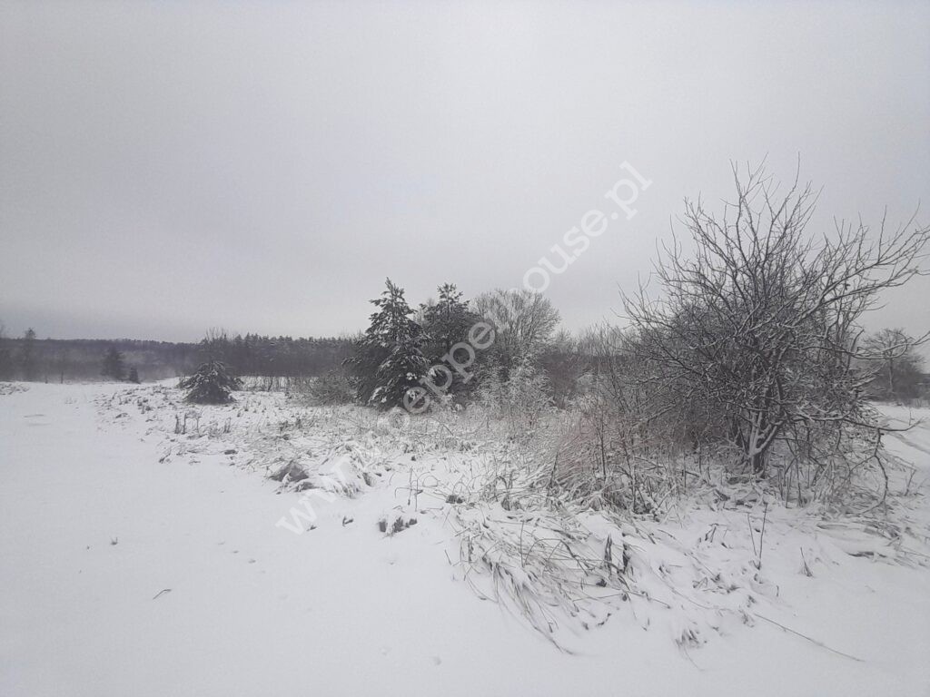 Działka na sprzedaż, pomorskie, Warcz - zdjęcie ofertowe nr 1