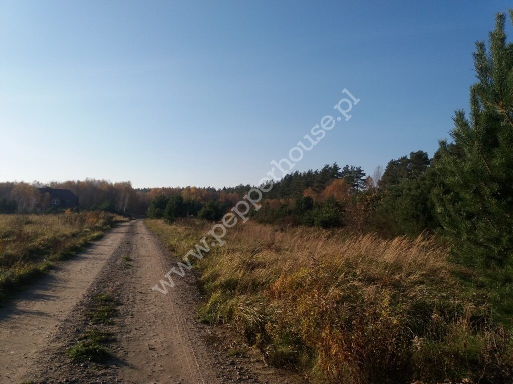 , pomorskie, Łężyce, Jodłowa - listing photo no. 5