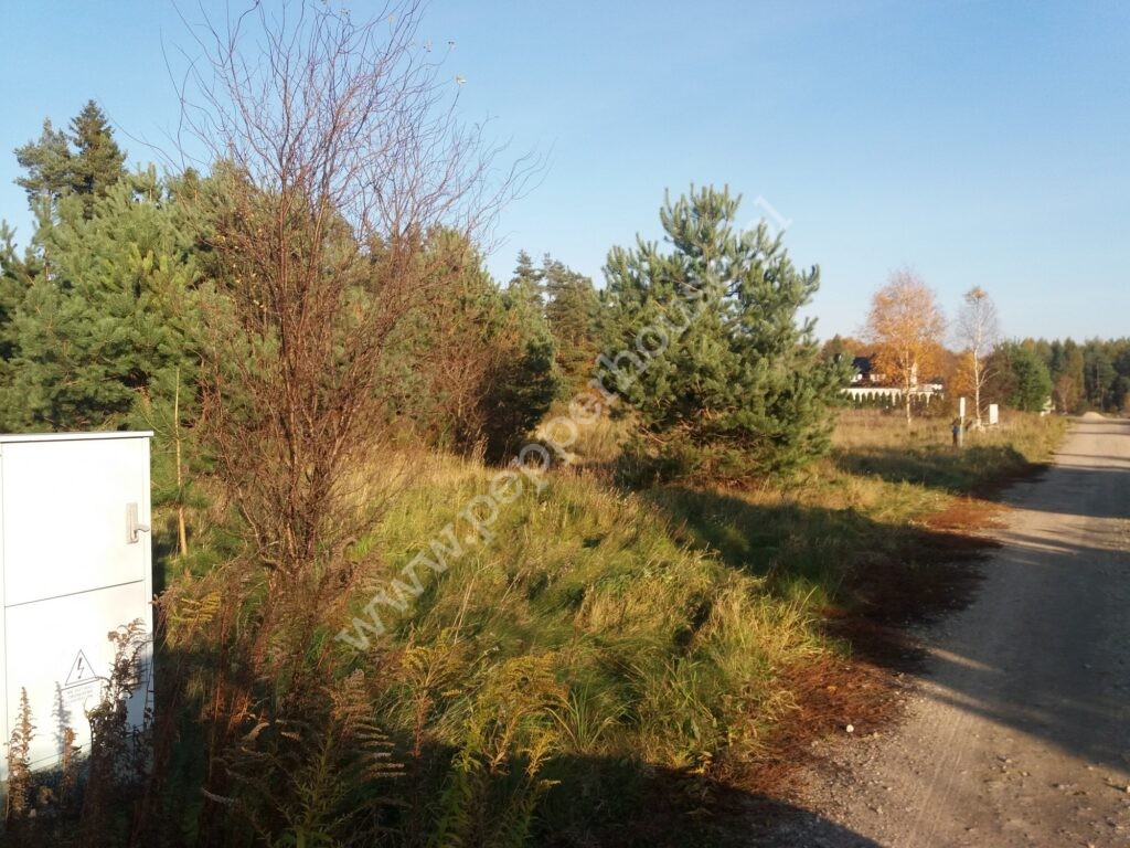 , pomorskie, Łężyce, Jodłowa - listing photo no. 6
