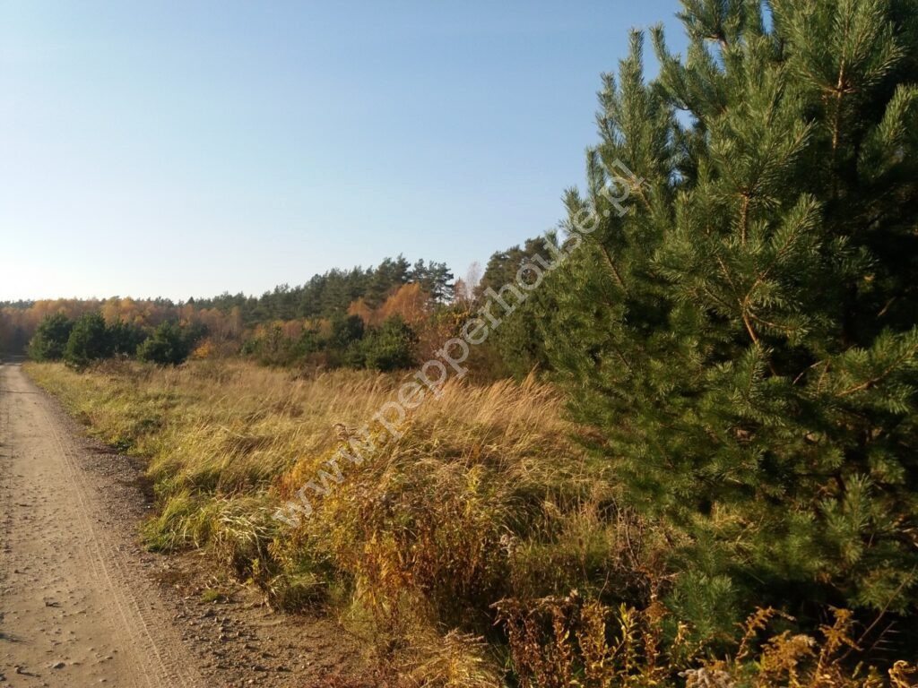 , pomorskie, Łężyce, Jodłowa - listing photo no. 7
