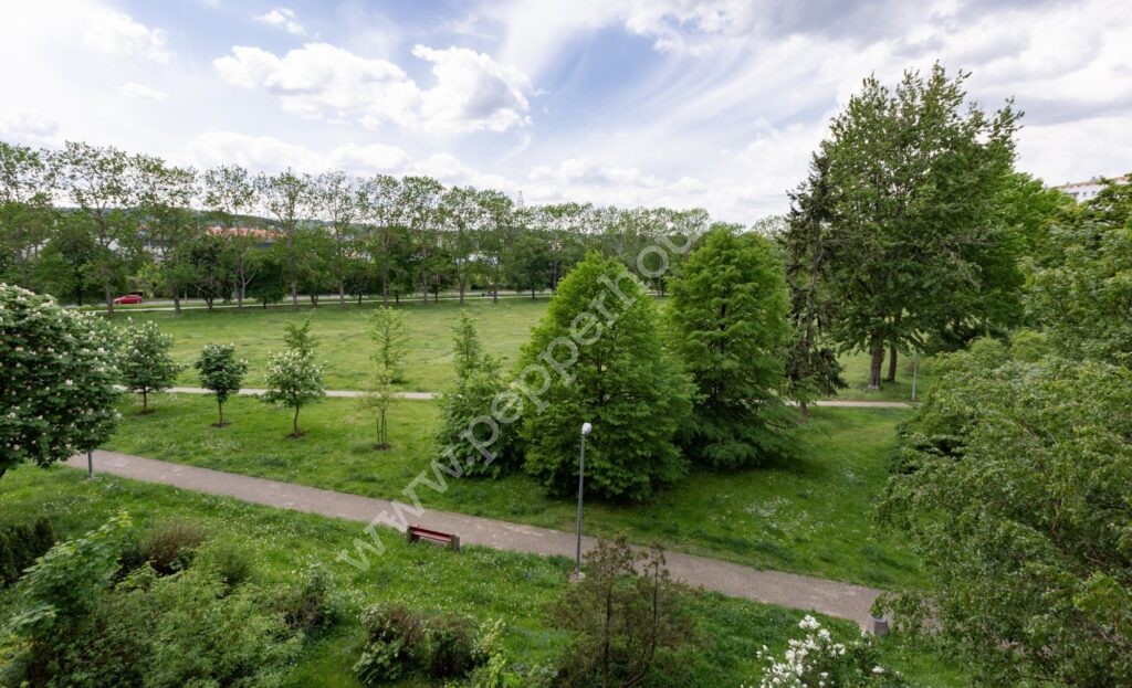 , Gdańsk, Zaspa, Pilotów - listing photo no. 15