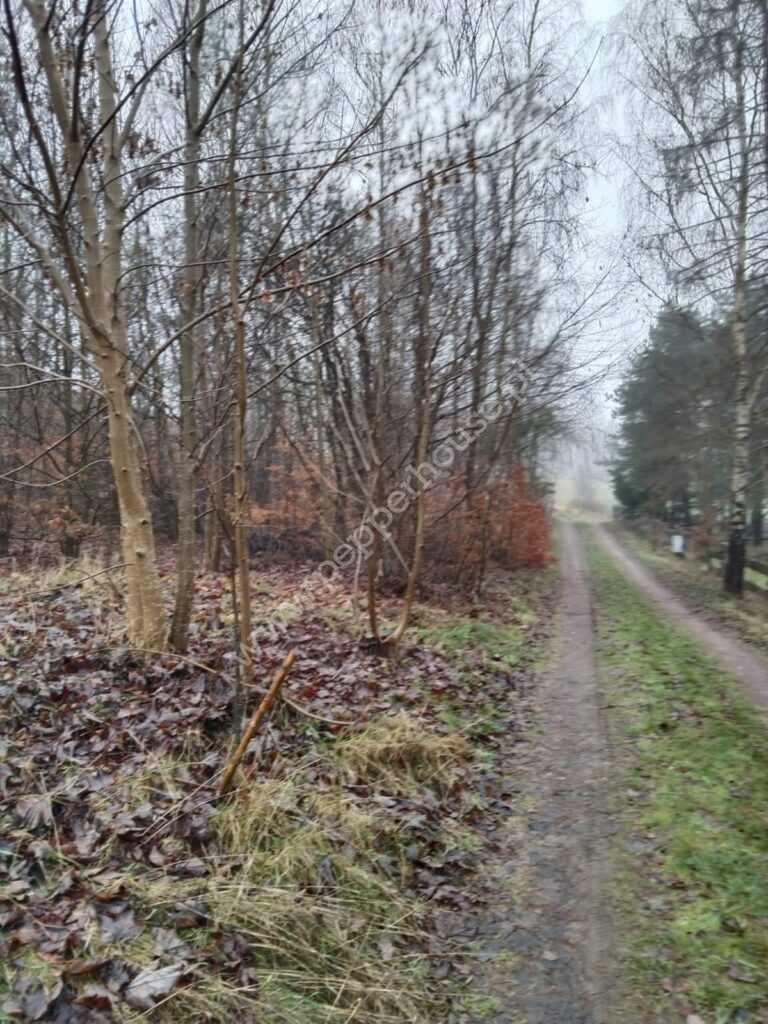 Działka na sprzedaż, pomorskie, Ostrzyce, Nad Trzebnem - zdjęcie ofertowe nr 4